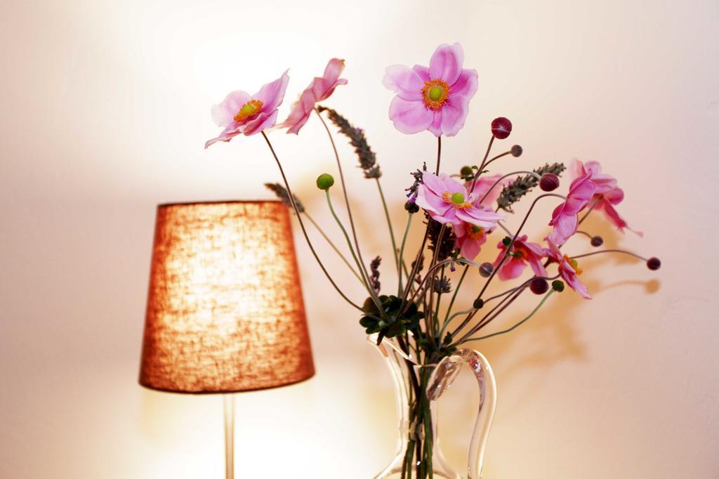 Bed and Breakfast La Tourrette Tourrettes-sur-Loup Esterno foto